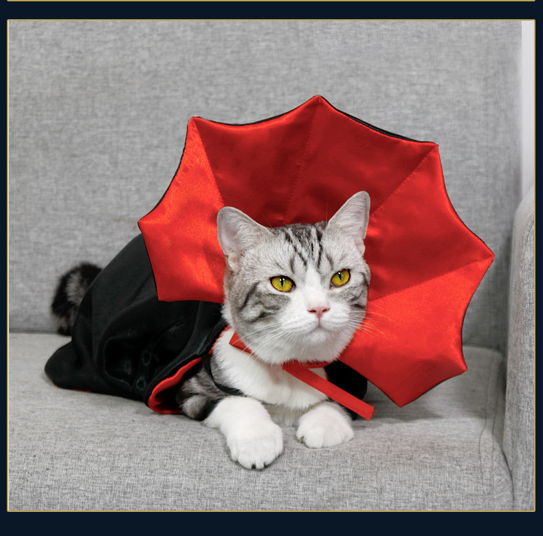 Pet Halloween Capes