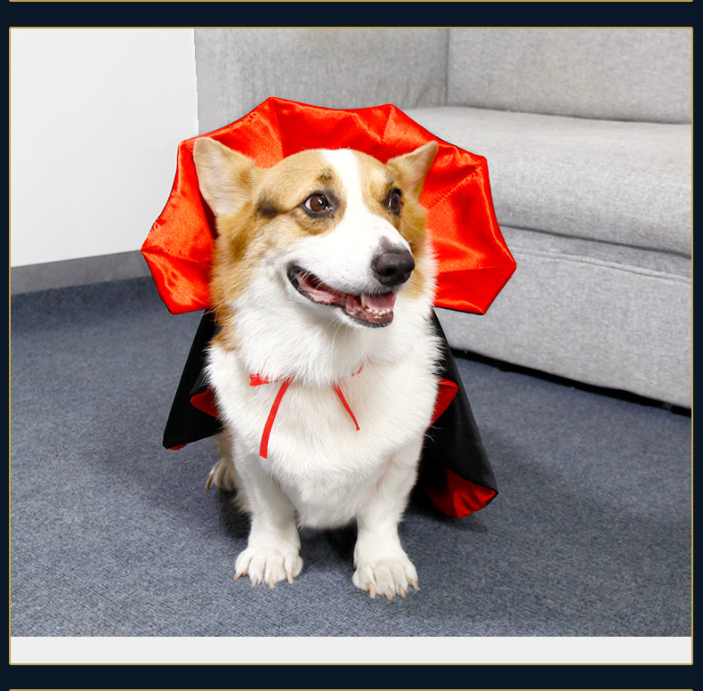 Pet Halloween Capes