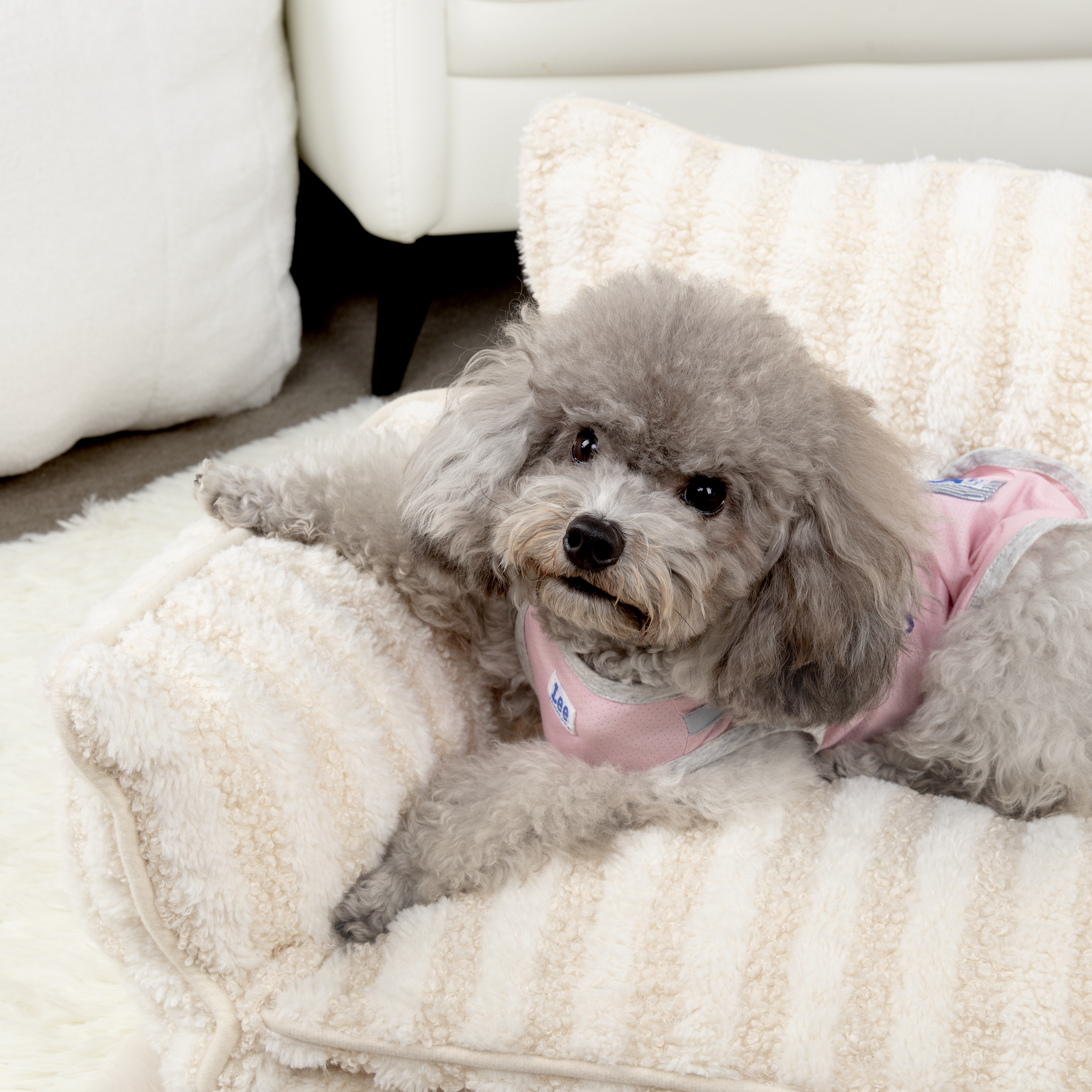 Trendy Striped Faux Lambswool Double Layer Dog & Cat Sofa Bed 