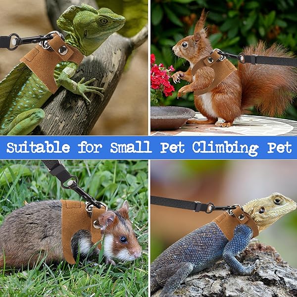 3 Pack Bearded Dragon Harness and Leash Set