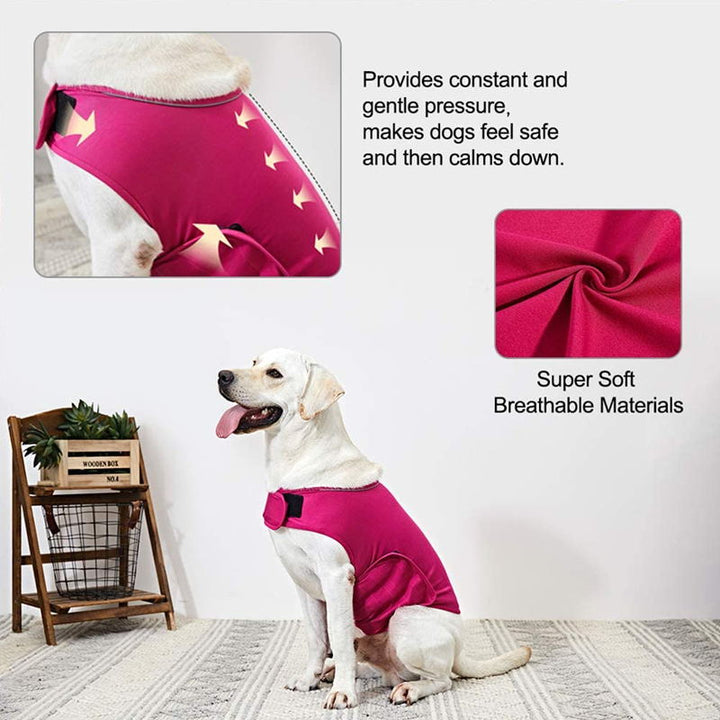 Dog Anxiety Relief Vest for Thunderstorm & Fireworks