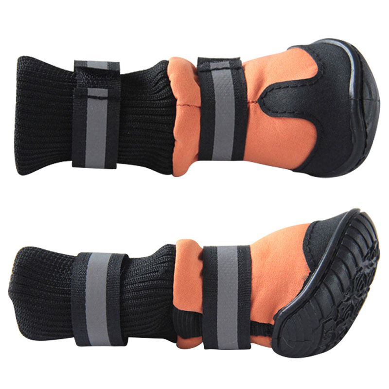 best winter dog boots