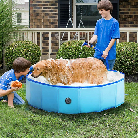 dog bathtub swimming pool