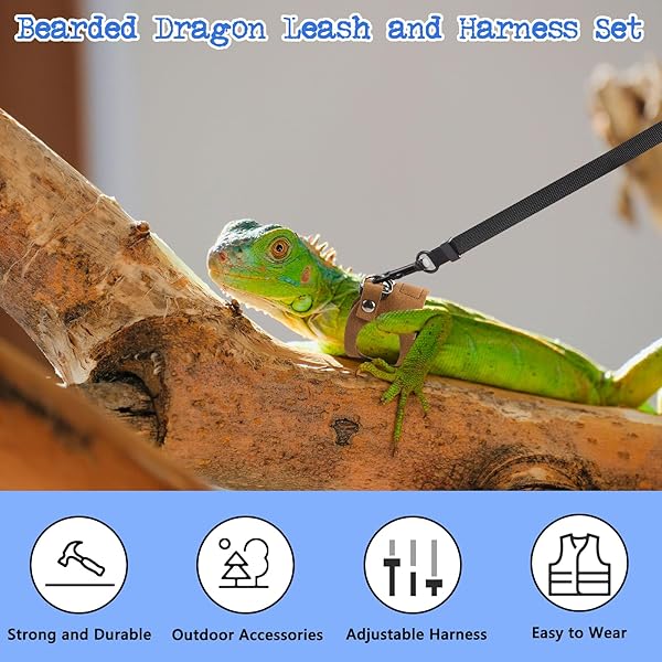 3 Pack Bearded Dragon Harness and Leash Set