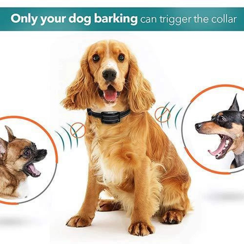 Automatic Bark Control Collar