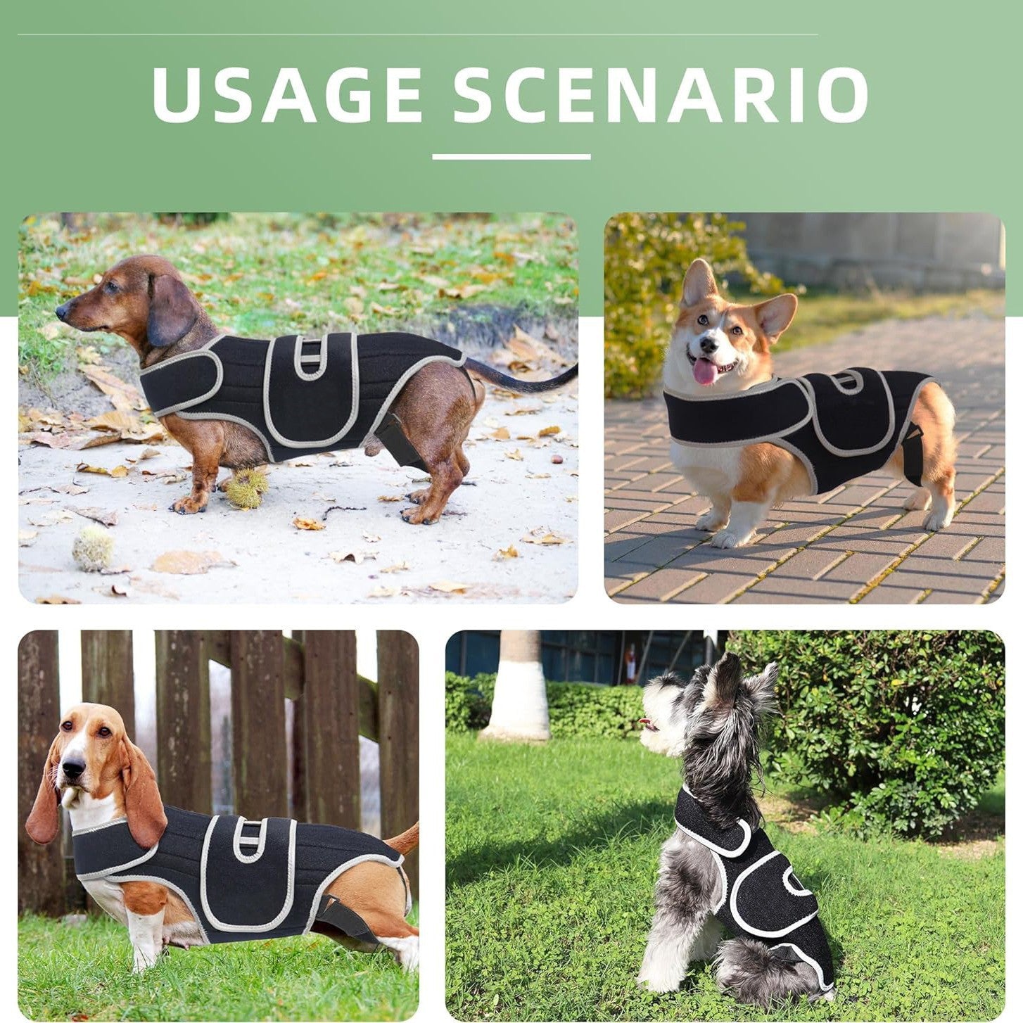 Dog Back Support Vest for IVDD & Spinal Injuries - Protective Pain Relief & Recovery
