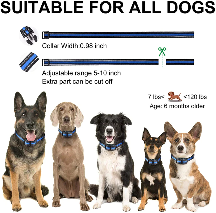 Dog Anti-Bark & Training Collar