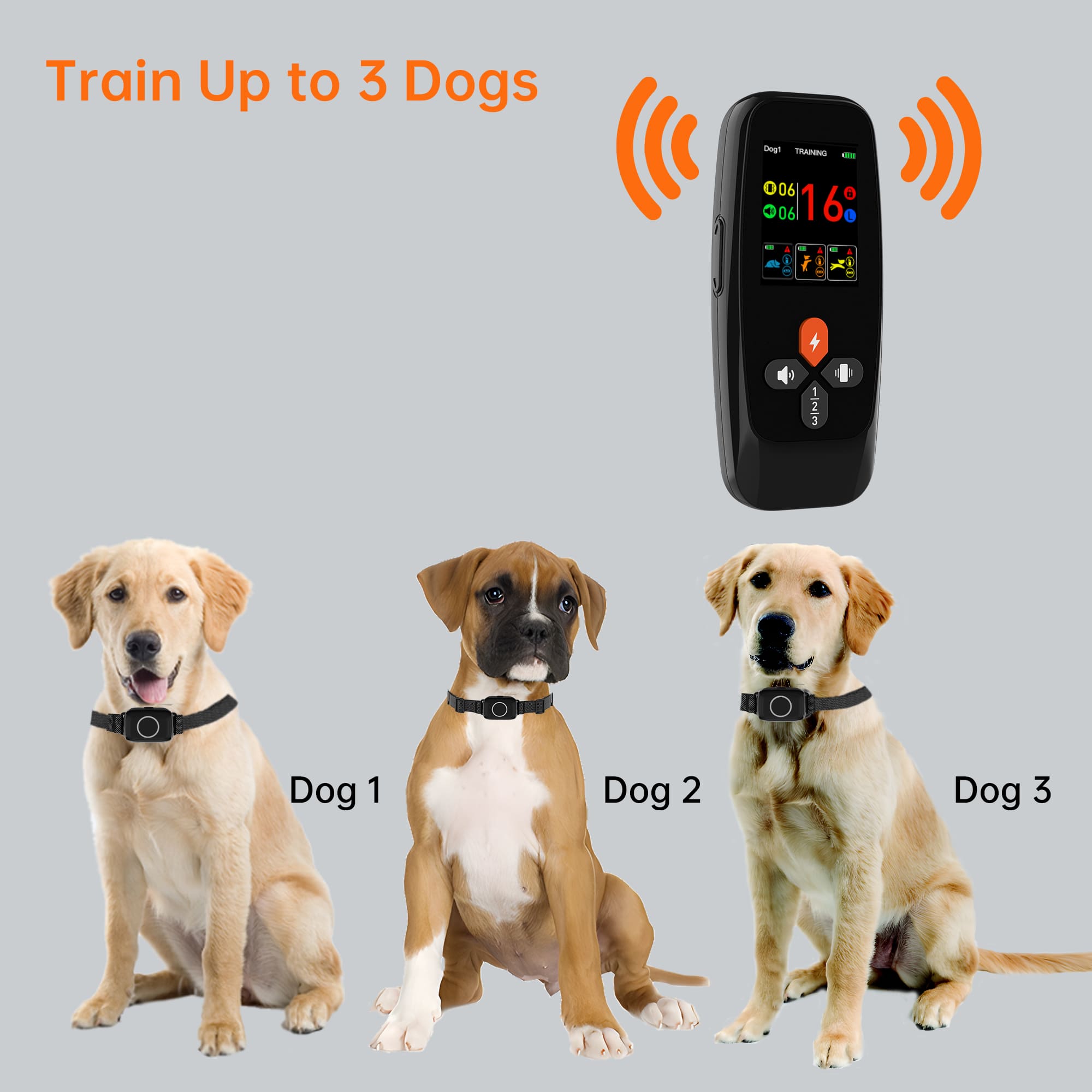 4-in-1 Remote Dog Training Collar T800Plus