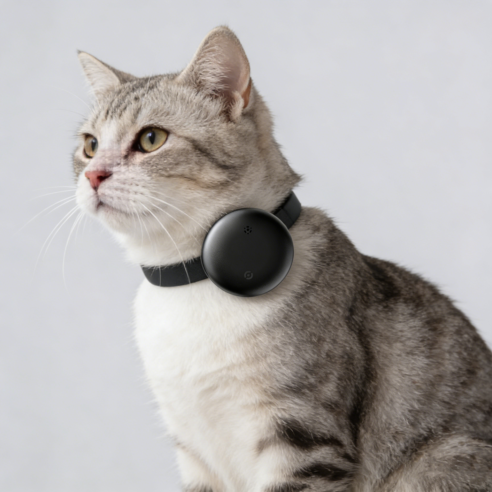 Pet GPS Tracker - Not Just a GPS Car Tracker. Your Everything Finder.