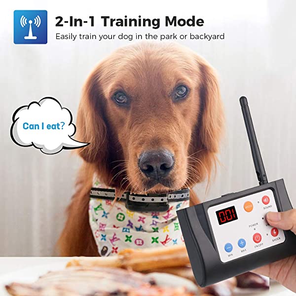 2-in-1 Wireless Dog Fence & Outdoor Training Collar
