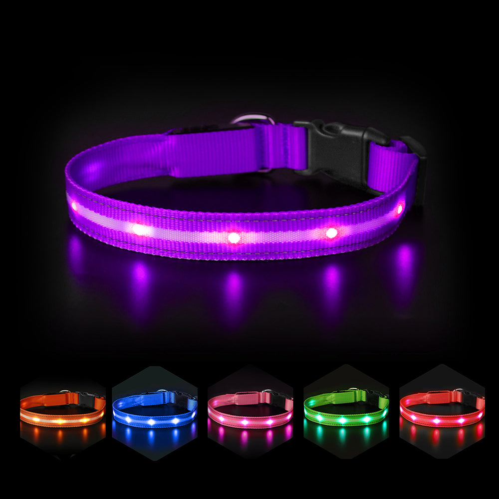 Led Glow Flashing Dog Collar