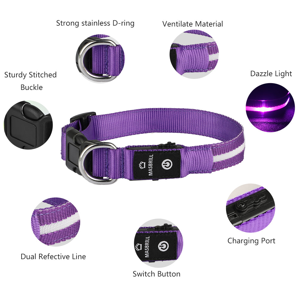 Led Glow Flashing Dog Collar
