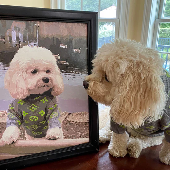 Customized Pet Paint by Numbers, Not Just For Pet Pictures