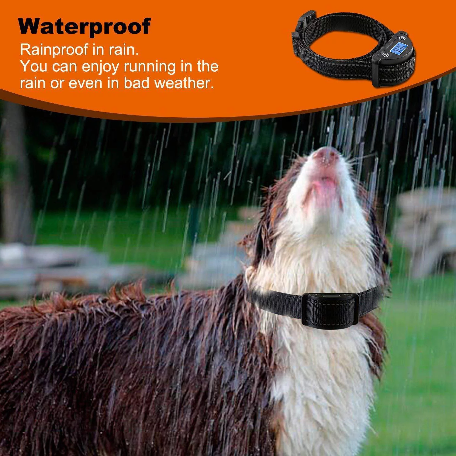 Automatic Bark Control Collar