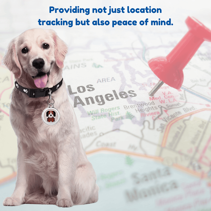 Pet Tracker GPS Locator