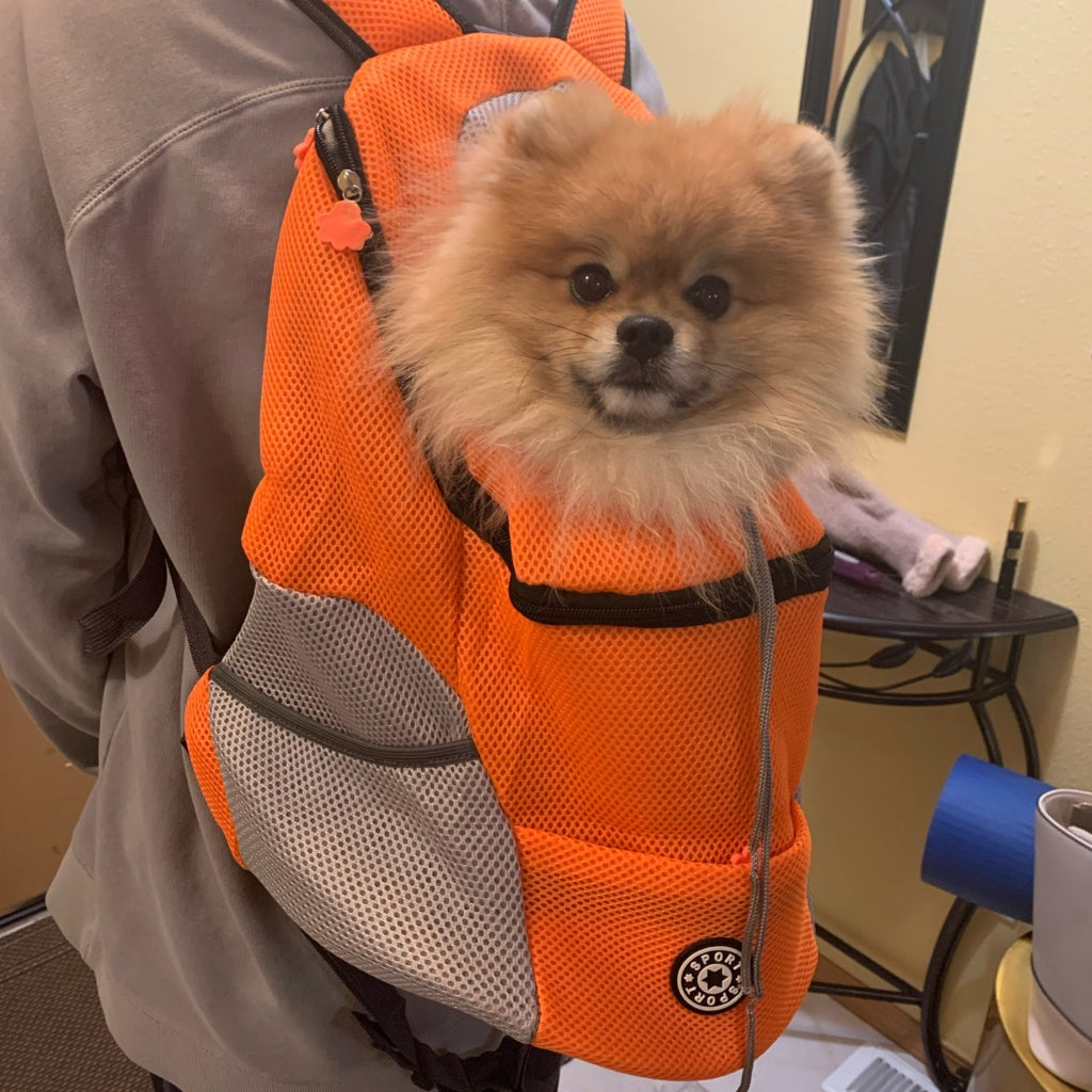 The Puppy Pack - Dog Carrier Backpack