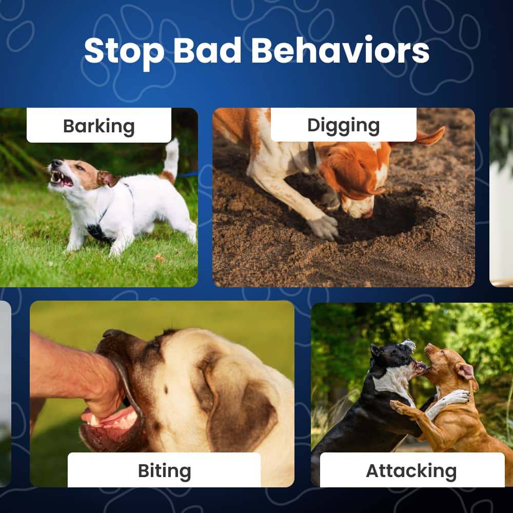 Smart Anti-Bark Dog Collar – Humane Training, Adjustable Fit, Suitable for Large & Small Dogs