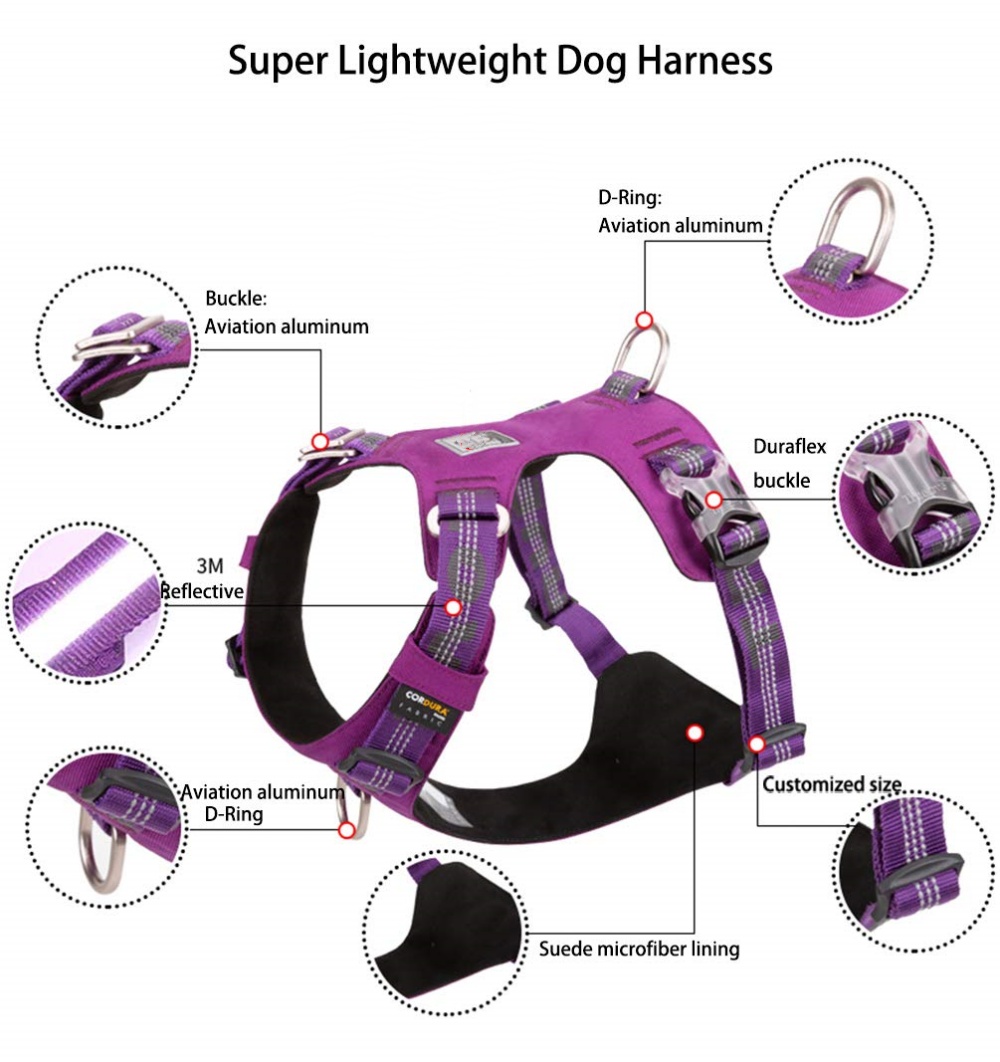 Lightweight Harness - Special Edition
