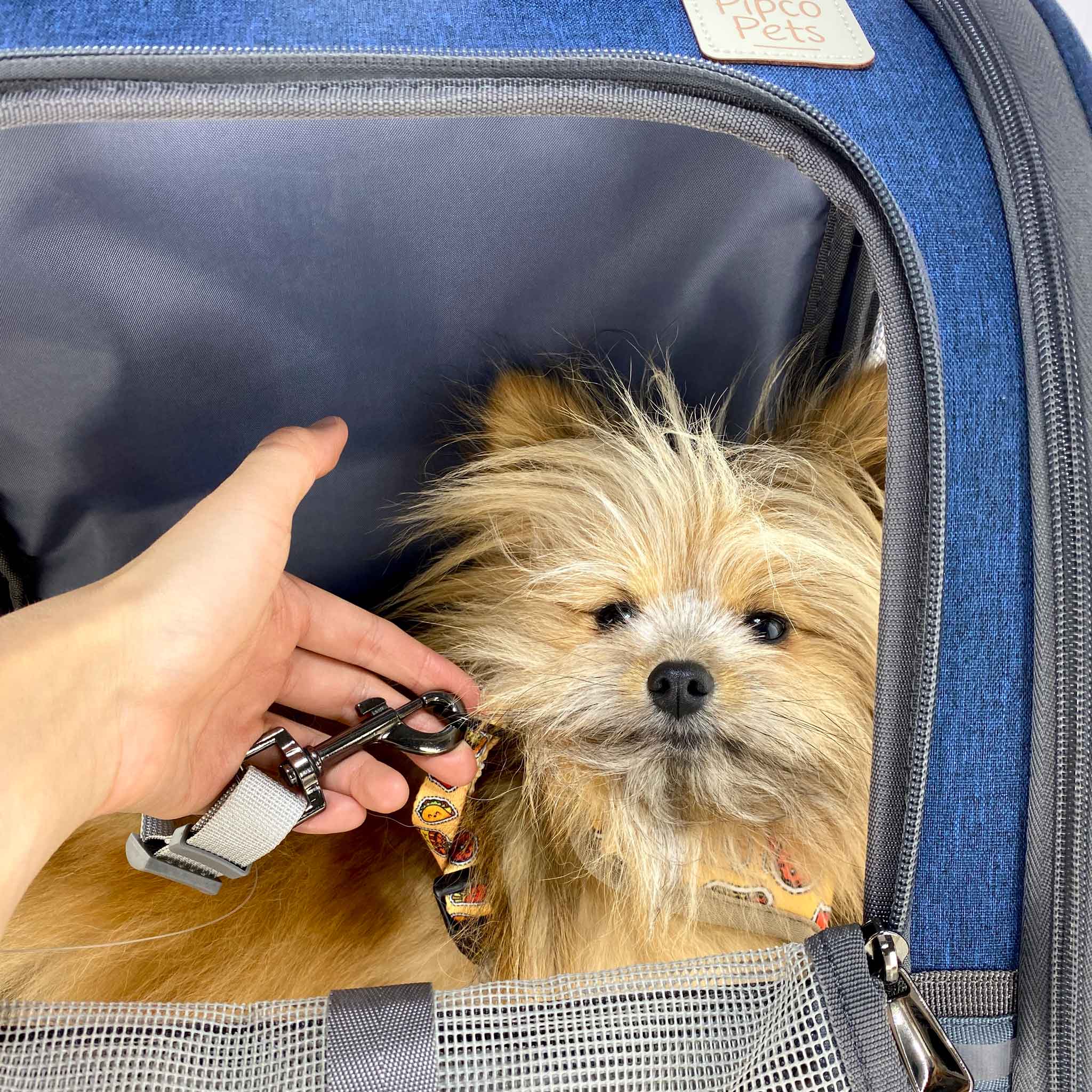 Pet Backpack Carrier