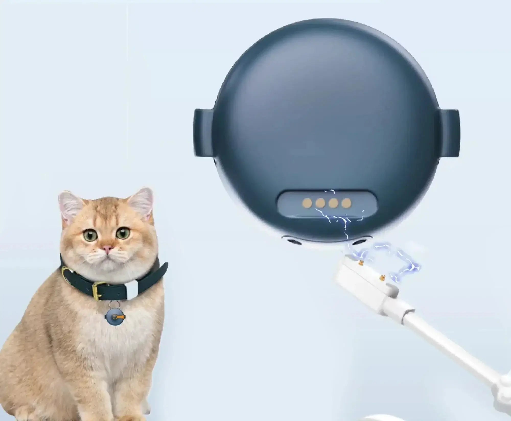 4G Pet GPS Tracker: Waterproof & Real-Time Locator