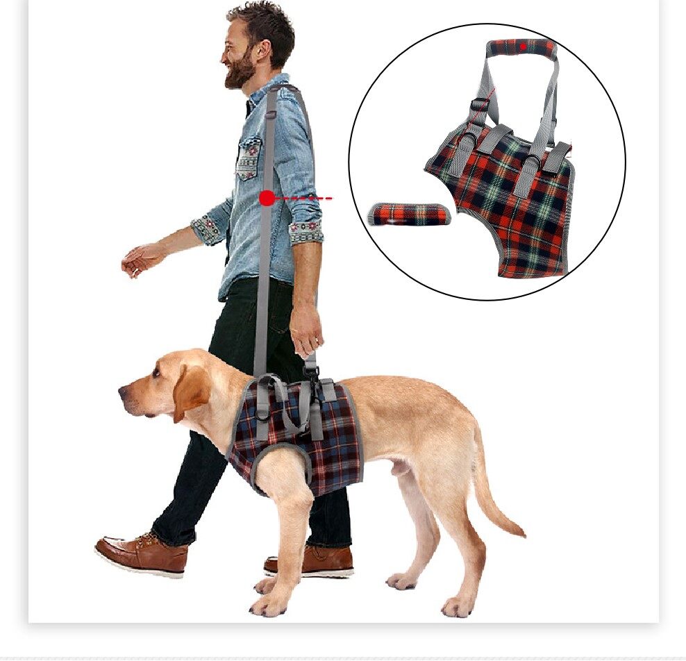 Dog Support Harness Front and Back Legs For Small Medium Large Dogs