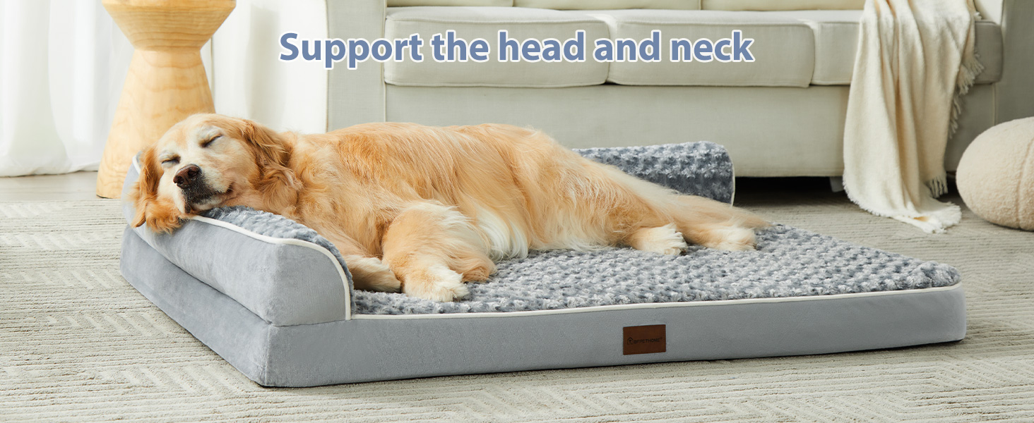 dog bed6