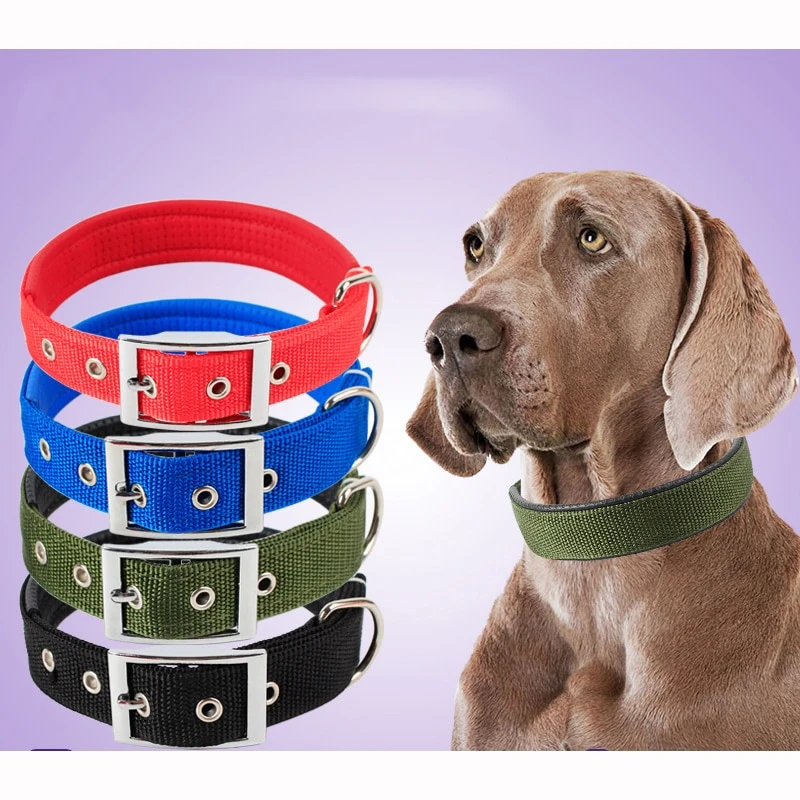 Solid Dog Collars Nylon Dog Collar For Small Medium Large Dogs