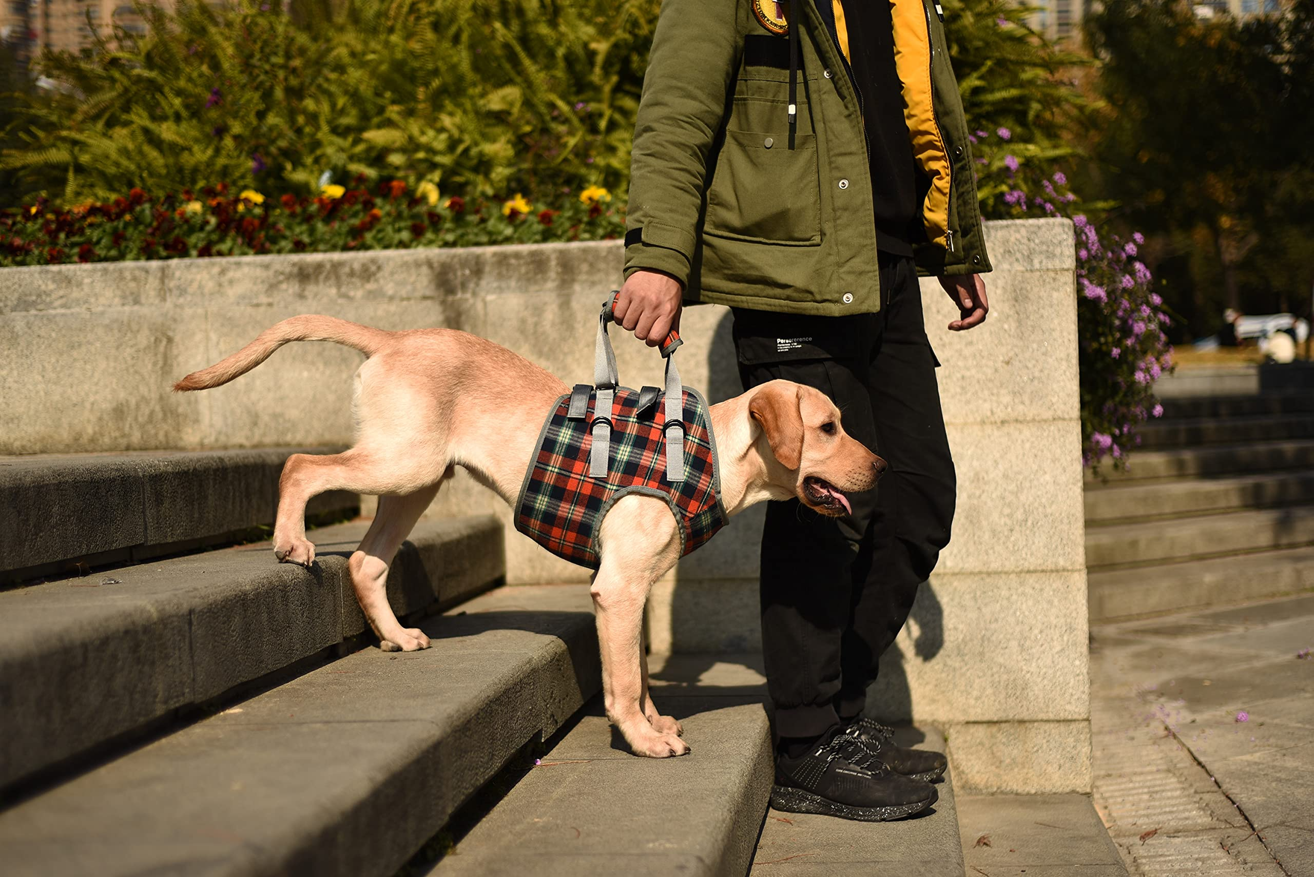 Dog Support Harness Front and Back Legs For Small Medium Large Dogs