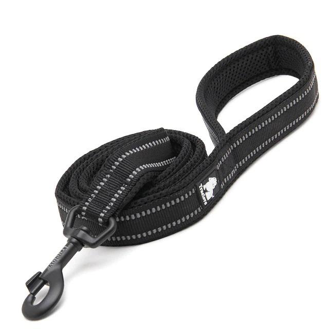 Dog Visibility Leash