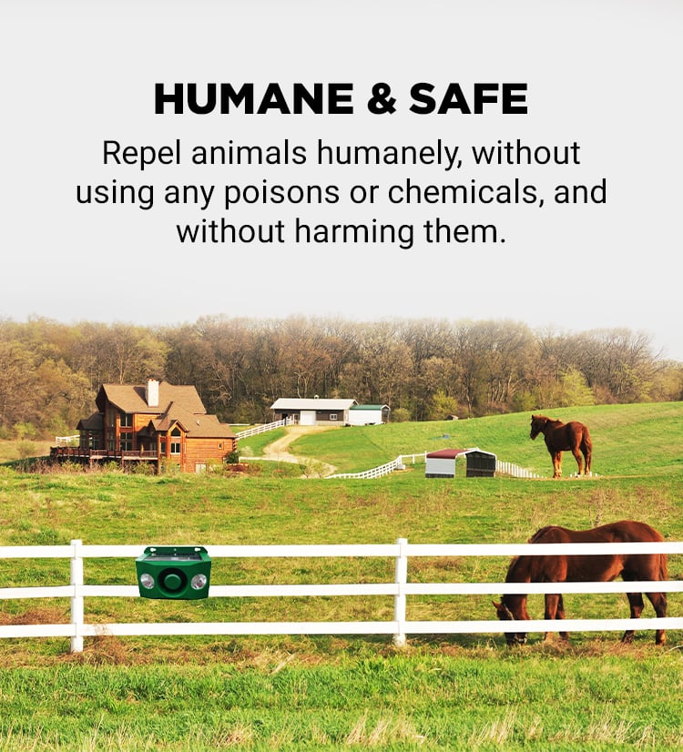 Beast Repellent Solar Warning Lights with Loud Volume