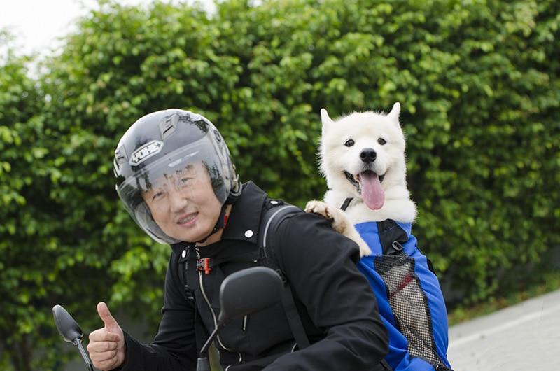 Dog Backpack Sack Carrier