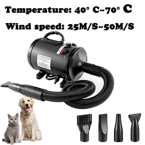 High Power Dryer - 2025 Best Wet Dry Vacuum For Pet Hair