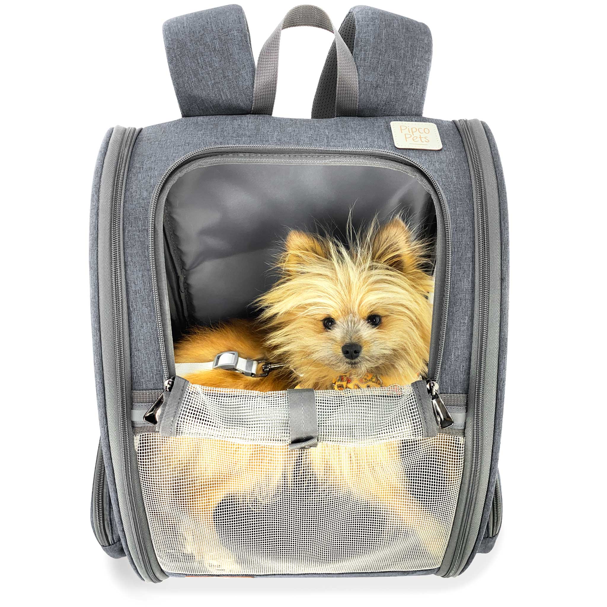 Pet Backpack Carrier