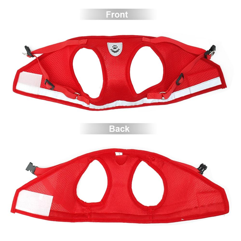 Reflective Cat & Kitten Harness And Leash Set