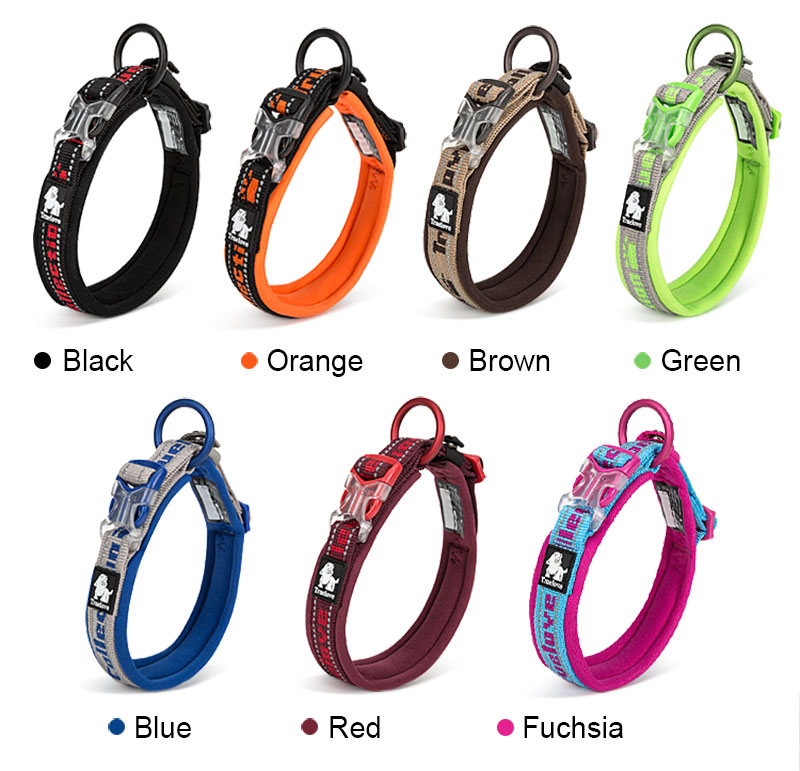 Truelove embroider neoprene pet dog collar nylon adjustable dog collars for big small dogs running reflective chihuahua bitpulls (3)
