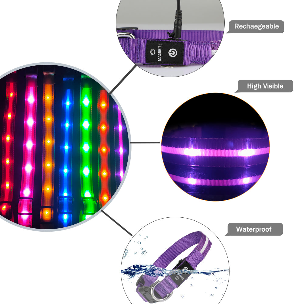 Led Glow Flashing Dog Collar