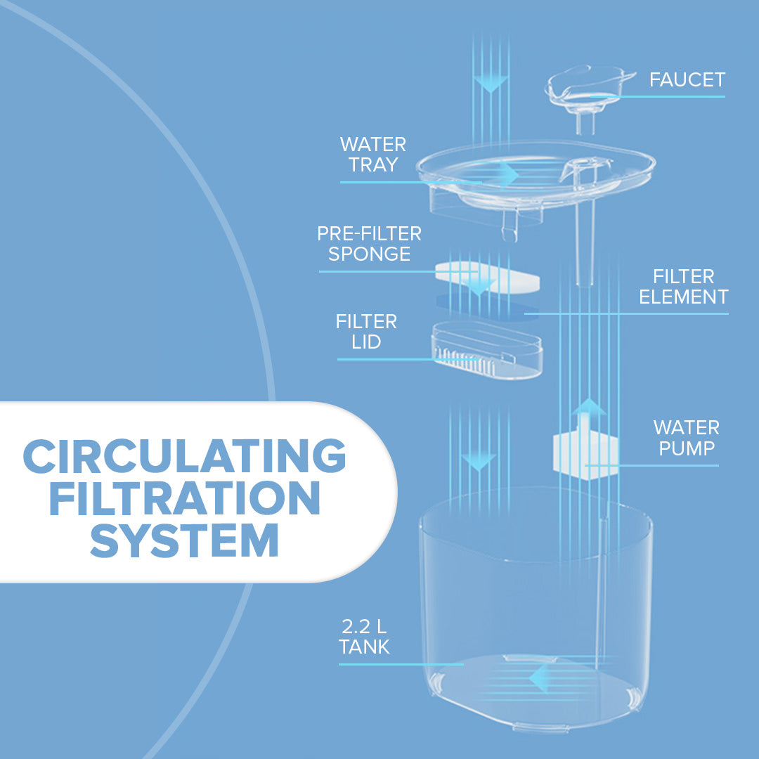 Cat Drinking Fountain with Waterflow Filter