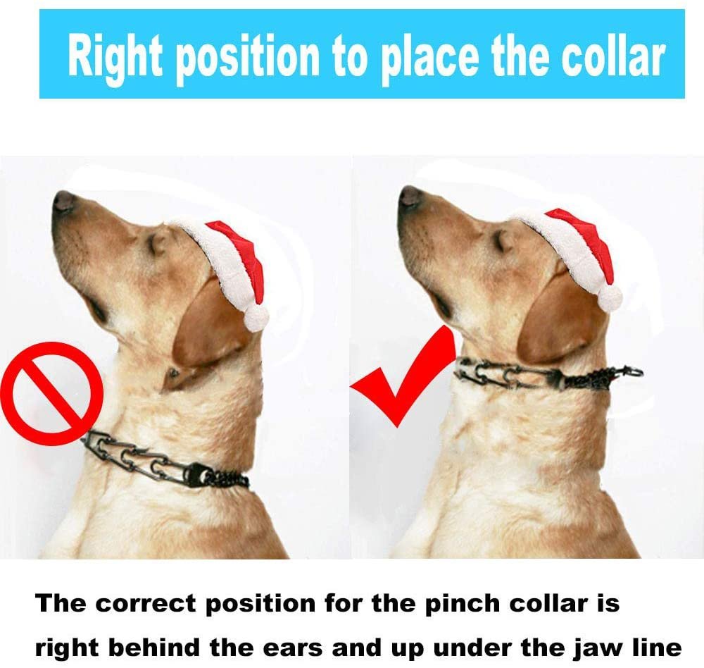 Dog Prong Collar, Dog Pinch Training Collar with Quick Release Snap Buckle for Small Medium Large Dogs