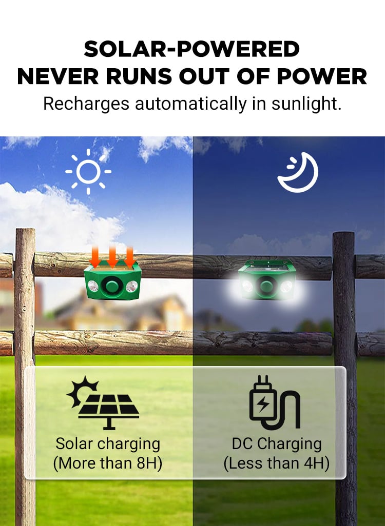Beast Repellent Solar Warning Lights with Loud Volume