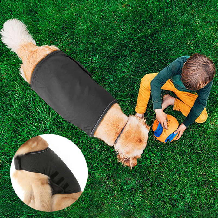 Dog Anxiety Relief Vest for Thunderstorm & Fireworks