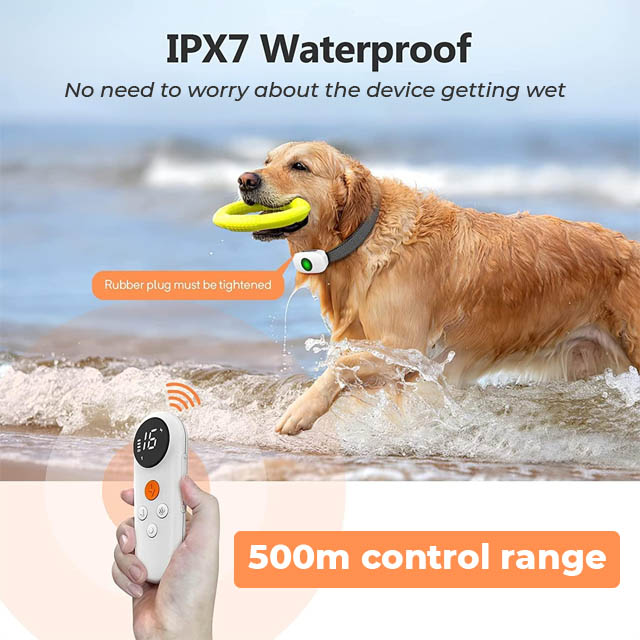 Dog Shock Collar and Remote - White - Effective Dog Training Device