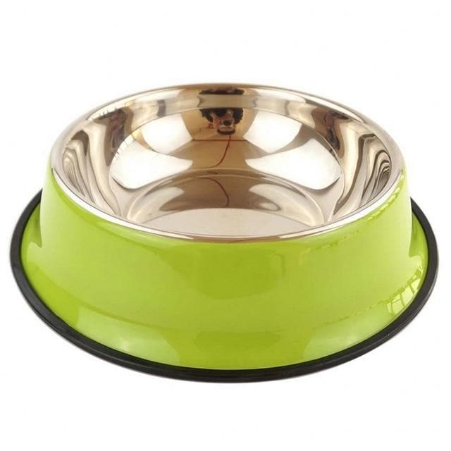 Dog Bowl Multi-Colored Stainless Steel