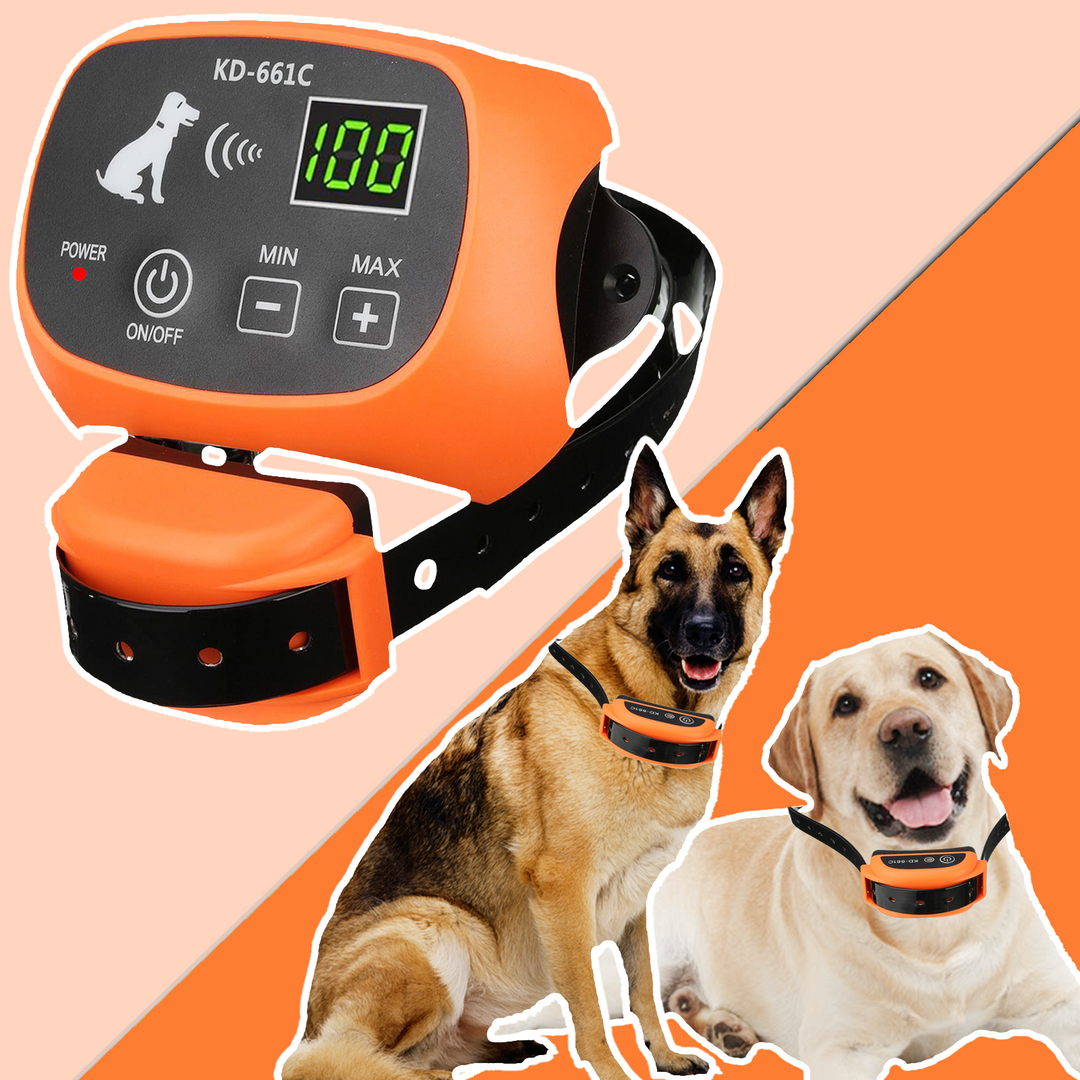 Pet Safe Wireless Electric Dog Fence - Wireless Dog Fence With Shock Collar