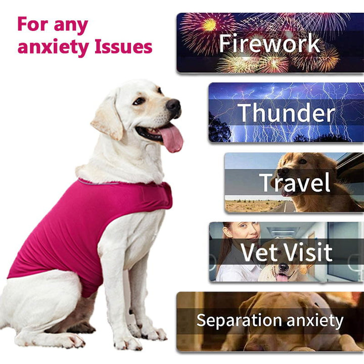 Dog Anxiety Relief Vest for Thunderstorm & Fireworks