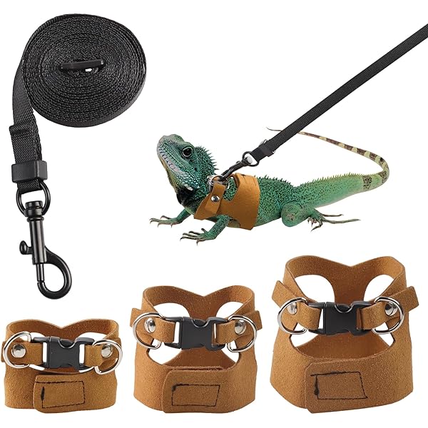 3 Pack Bearded Dragon Harness and Leash Set