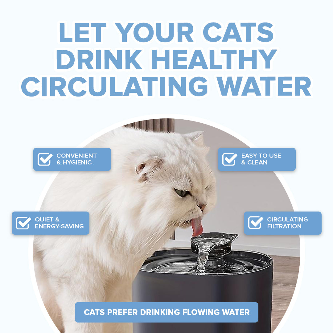 Cat Drinking Fountain with Waterflow Filter