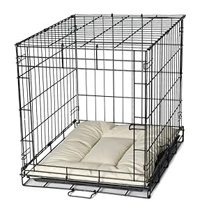 puppies white vet xl shef floor doberman apartment crated boarding wire doggie dmall breed place
