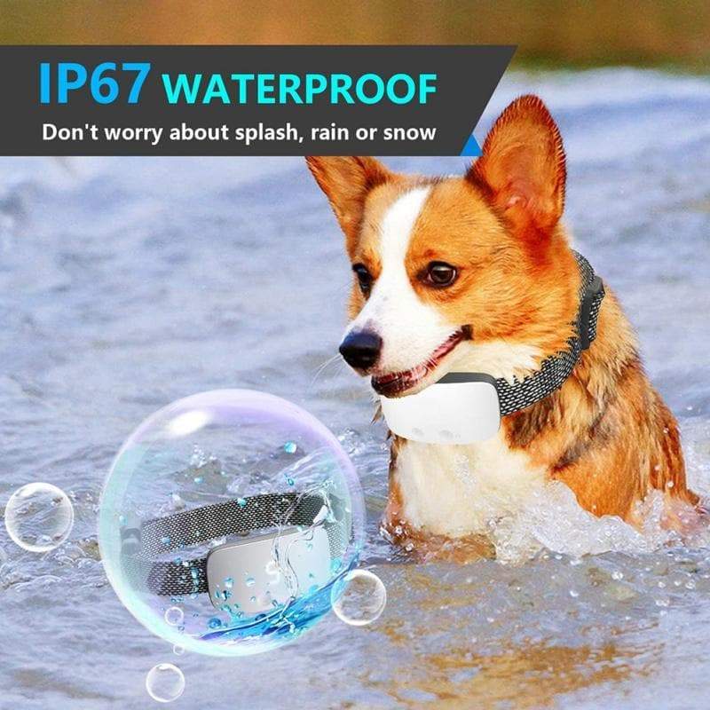 2020 Anti Barking Dog Collars, Touch Stop, Guard Against Barking