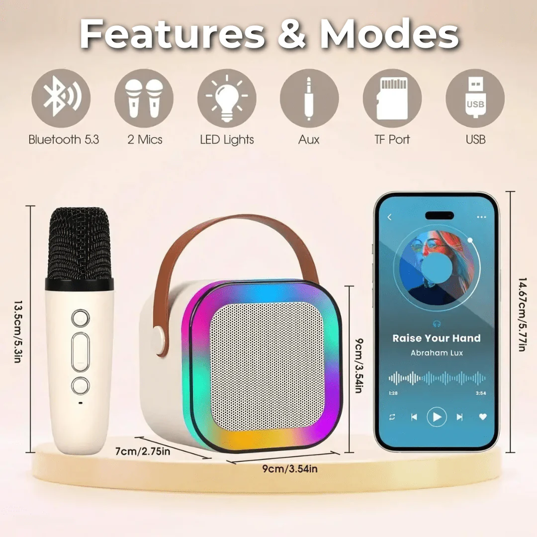 Portable Karaoke Set