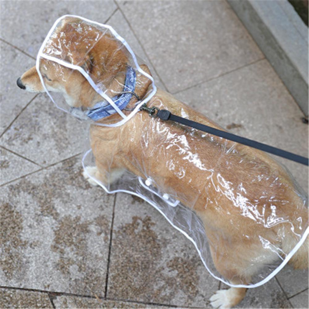 Transparent Dog Raincoat